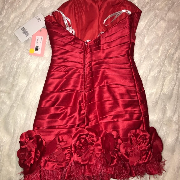 NWT Hannas Red Feather Cocktail dress - Picture 5 of 5